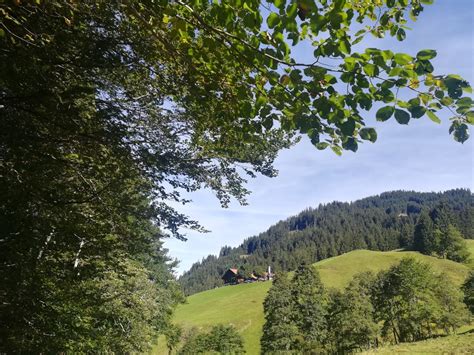 gaisalpe fischen im allgäu